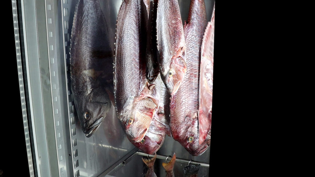 Leros Top 6 - Dry aged fish at Mylos Restaurant