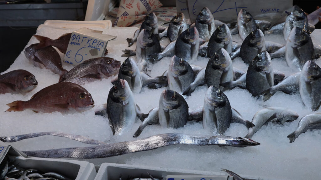 athens top food and drinks - Varvakios